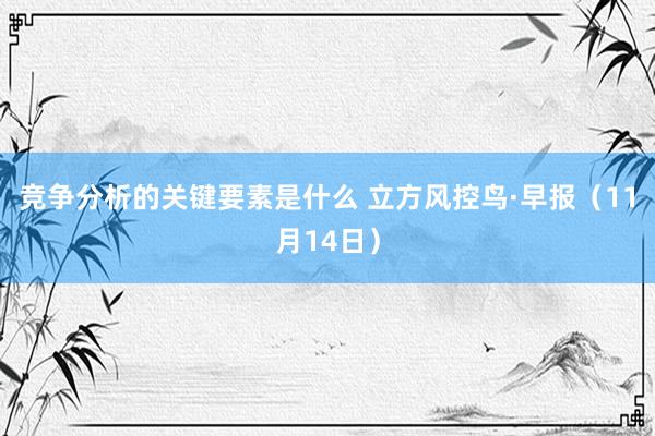 竞争分析的关键要素是什么 立方风控鸟·早报（11月14日）