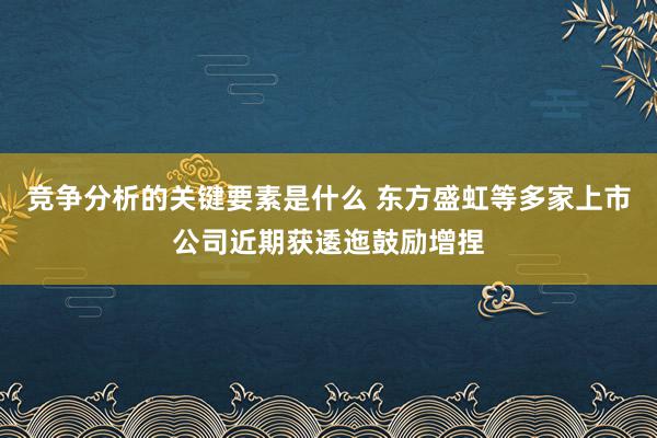 竞争分析的关键要素是什么 东方盛虹等多家上市公司近期获逶迤鼓励增捏