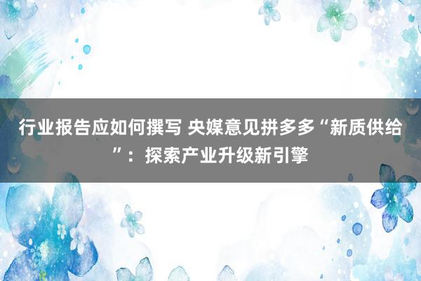 行业报告应如何撰写 央媒意见拼多多“新质供给”：探索产业升级新引擎