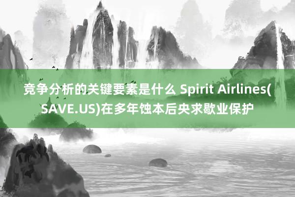 竞争分析的关键要素是什么 Spirit Airlines(SAVE.US)在多年蚀本后央求歇业保护