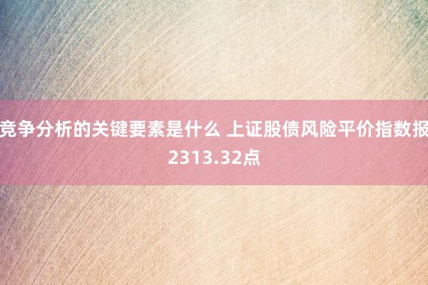 竞争分析的关键要素是什么 上证股债风险平价指数报2313.32点