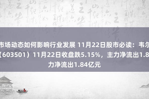 市场动态如何影响行业发展 11月22日股市必读：韦尔股份（603501）11月22日收盘跌5.15%，主力净流出1.84亿元