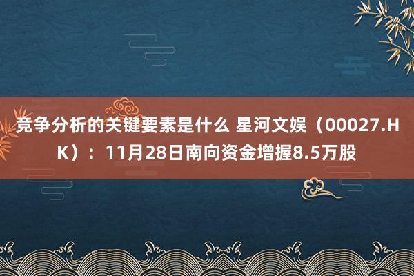 竞争分析的关键要素是什么 星河文娱（00027.HK）：11月28日南向资金增握8.5万股