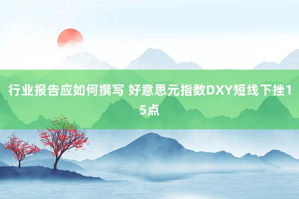 行业报告应如何撰写 好意思元指数DXY短线下挫15点