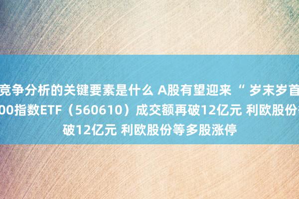 竞争分析的关键要素是什么 A股有望迎来 “ 岁末岁首行情 ” A500指数ETF（560610）成交额再破12亿元 利欧股份等多股涨停