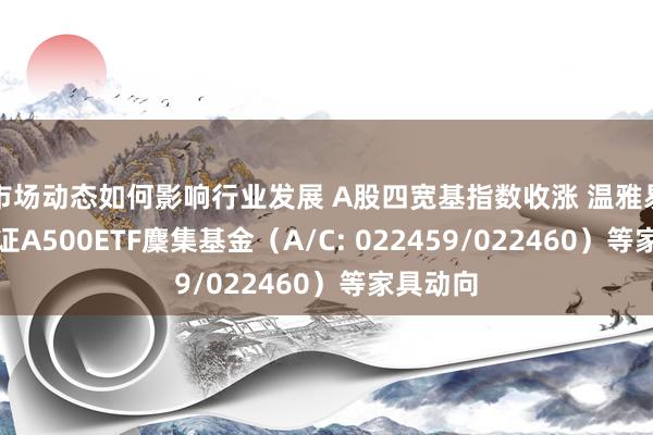 市场动态如何影响行业发展 A股四宽基指数收涨 温雅易方达中证A500ETF麇集基金（A/C: 022459/022460）等家具动向