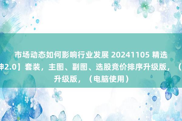 市场动态如何影响行业发展 20241105 精选【超等战神2.0】套装，主图、副图、选股竞价排序升级版，（电脑使用）