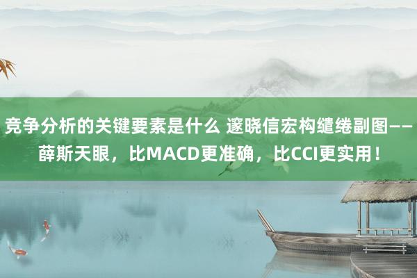 竞争分析的关键要素是什么 邃晓信宏构缱绻副图——薛斯天眼，比MACD更准确，比CCI更实用！