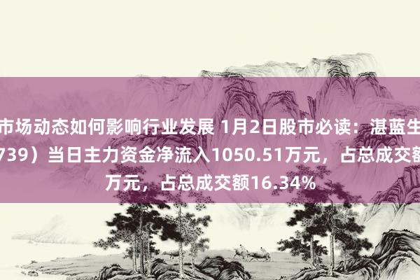 市场动态如何影响行业发展 1月2日股市必读：湛蓝生物（603739）当日主力资金净流入1050.51万元，占总成交额16.34%