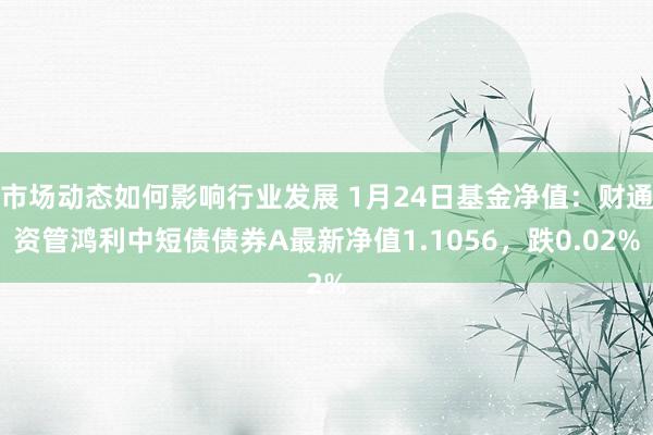 市场动态如何影响行业发展 1月24日基金净值：财通资管鸿利中短债债券A最新净值1.1056，跌0.02%