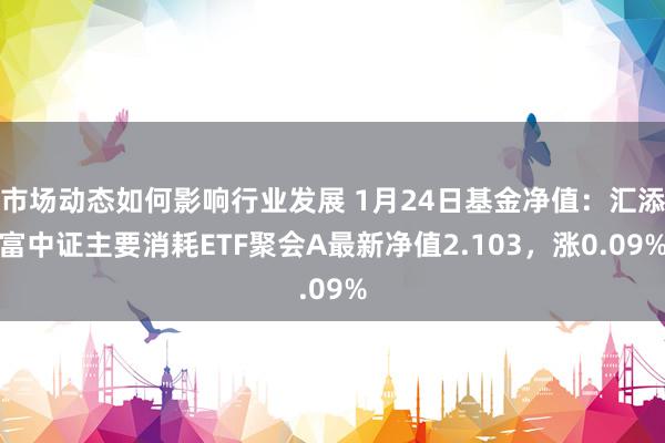 市场动态如何影响行业发展 1月24日基金净值：汇添富中证主要消耗ETF聚会A最新净值2.103，涨0.09%