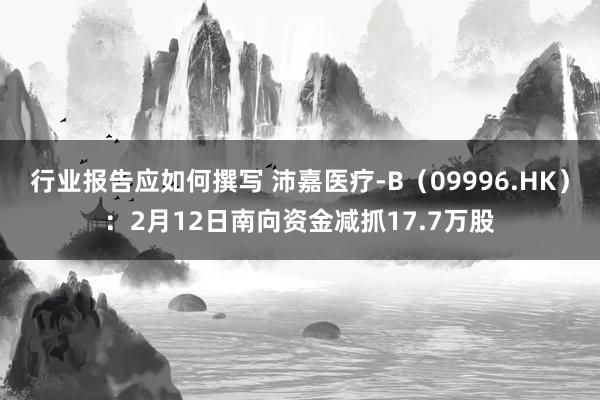 行业报告应如何撰写 沛嘉医疗-B（09996.HK）：2月12日南向资金减抓17.7万股