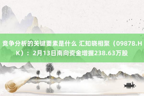 竞争分析的关键要素是什么 汇知晓相聚（09878.HK）：2月13日南向资金增握238.63万股