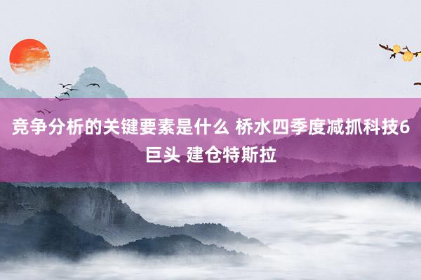 竞争分析的关键要素是什么 桥水四季度减抓科技6巨头 建仓特斯拉