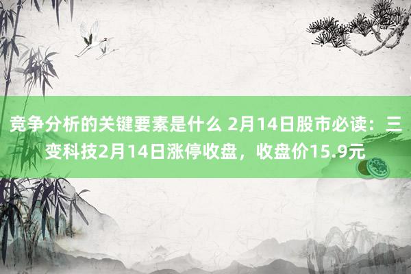 竞争分析的关键要素是什么 2月14日股市必读：三变科技2月14日涨停收盘，收盘价15.9元