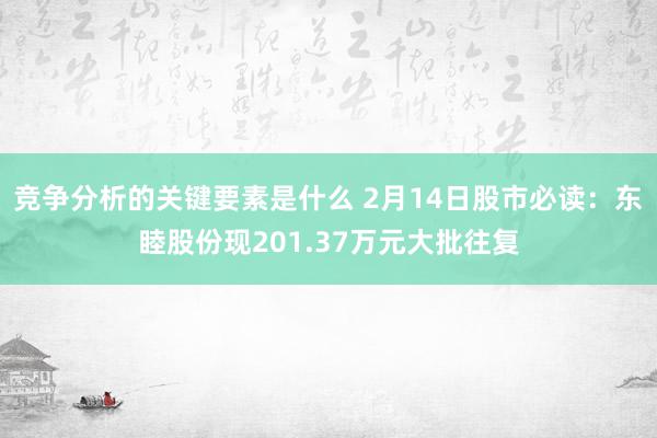 竞争分析的关键要素是什么 2月14日股市必读：东睦股份现201.37万元大批往复